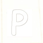 ARCHE-Foto_P