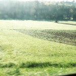 ARCHE-Foto Keltern-Ellmendingen Morgennebel