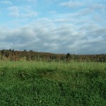 ARCHE-Foto Keltern-Weiler Blick hoch zum Wald vor dem Einschnitt