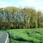 ARCHE-Foto Keltern-Weiler Die Fahrt Herbstblätter in den Talwiesen