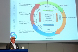 Prof. Dr. Ulrich T. Egle. Negativer Stress schädigt das Gehirn.