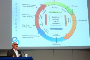 Prof. Dr. Ulrich T. Egle. Negativer Stress schädigt das Gehirn.