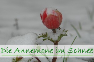 Wenn nichts mehr weitergeht, kann eine Anerkennung der Mitverantwortlichkeit eine erste reelle Annäherung bewirken.