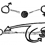 Psychodynamik. Dreiviertel der Fälle gehen von der Mutter aus.  © Ärztekammer Salzburg.