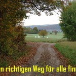 Wo ein Wille, da ist nicht immer ein Weg.