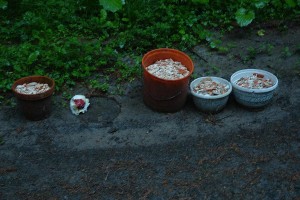 ARCHE Wilde Müllablagerung im Wald_05