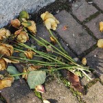 ARCHE Keltern-Weiler REFORMATION ALLER SEELEN_05ca
